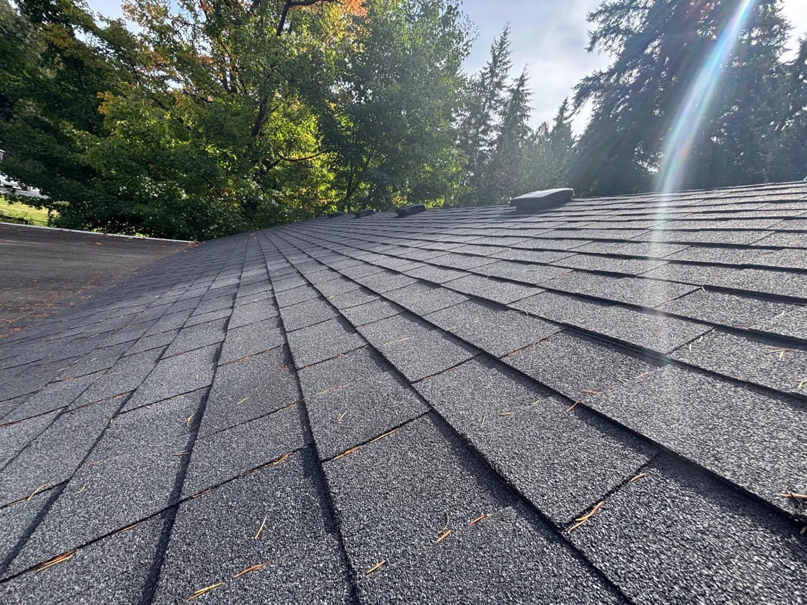 Close view along the black shingle roof slope in afternoon sun