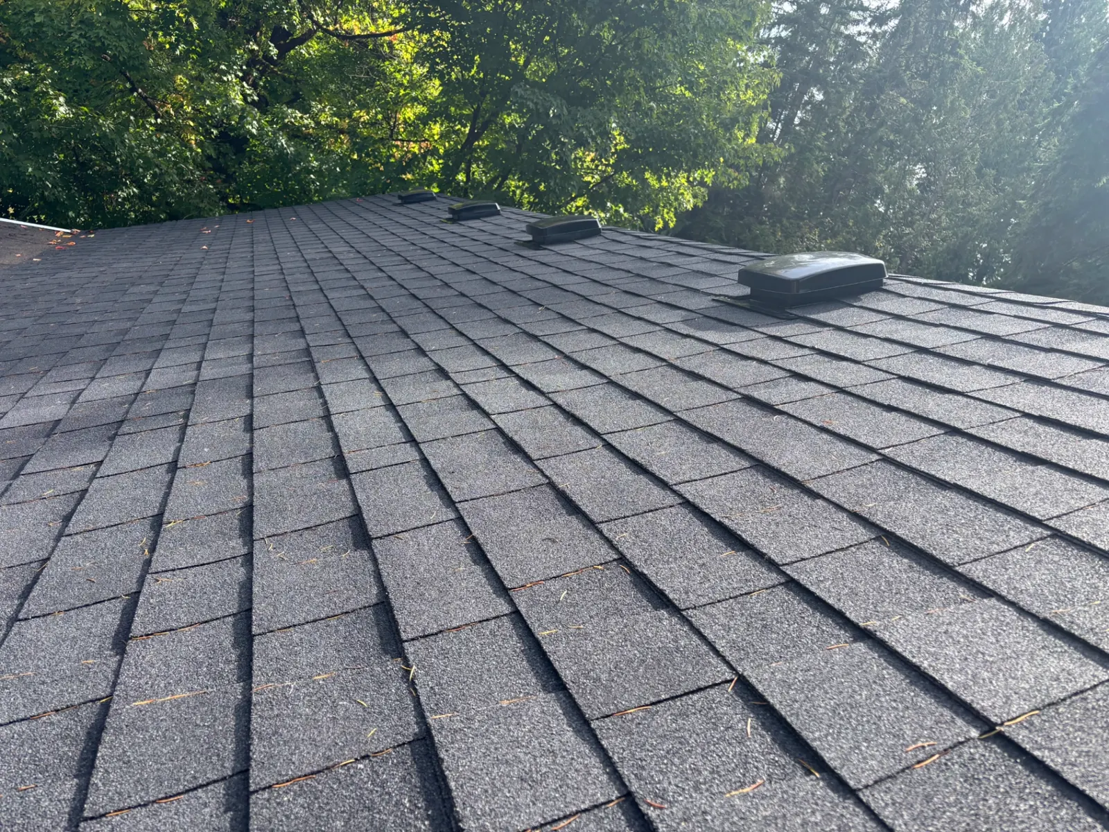 Even courses of black shingles with three new roof vents along the ridge